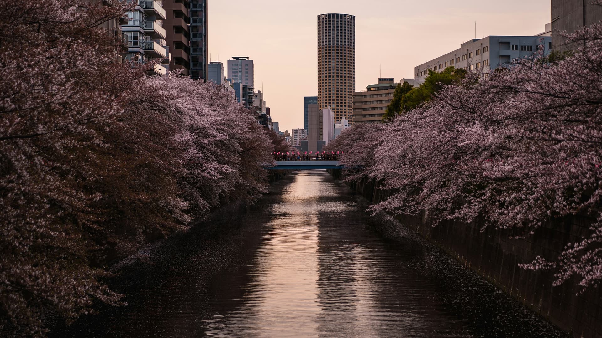 HOMES Meguro